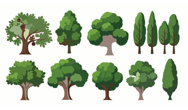 Stylized green tree and fig tree vector set with fresh foliage isolated on white