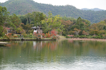 Fototapeta premium 京都大覚寺大沢池の周囲の風景