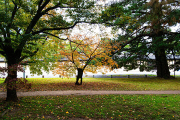 京都御苑の秋