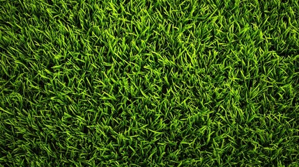 Vibrant green blades of fresh grass creating a lush natural texture background