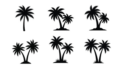 Fototapeta premium Collection of six detailed palm tree silhouettes for tropical design concepts