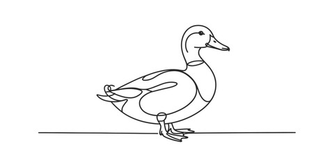 Obraz premium A minimalist continuous line drawing of a duck standing in profile view Vector, illustration