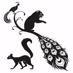 Obraz premium Silhouette of a panther and peacock