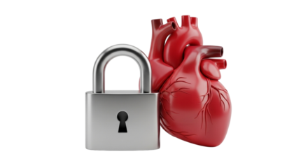 Padlock next to red human heart on white background