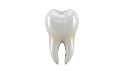 Realistic molar tooth isolated PNG on transparent background, dental anatomy model for medical education and oral hygiene concepts