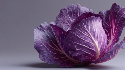 purple cabbage
