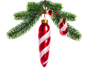Festive red and white striped icicle ornaments hang from a pine branch