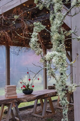 winter in the garden