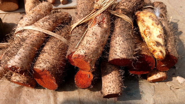 Close up Image of Chinese yams