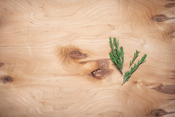Fresh rosemary sprigs on wooden plywood, top view, flat lay, copy space. Minimal culinary background.