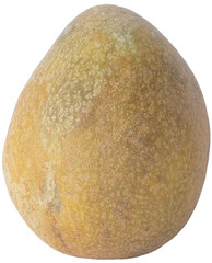 Horizontal View of Single Organic Sawo Fruit Isolated Cutout