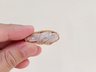 Hand picking up peanuts against a white background.