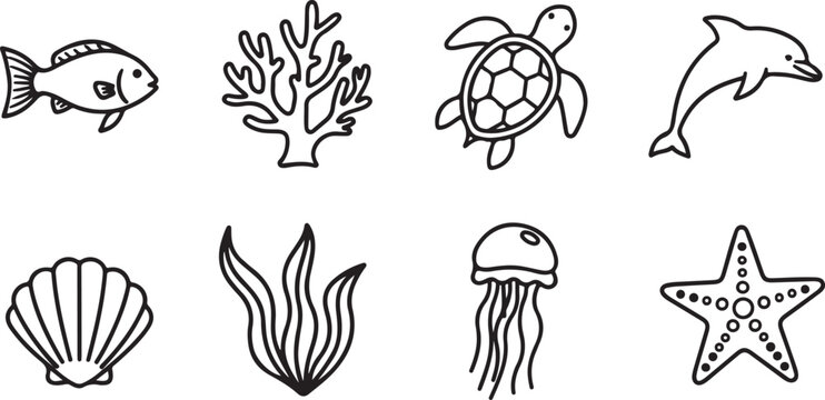 Underwater sea creatures fish coral