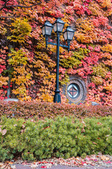 Autumn Foliage Covered Red Brick Building at Sapporo Factory, Hokkaido, Japan