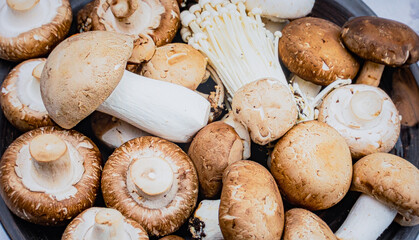Assorted Edible Mushrooms Including Button Shiitake Oyster Enoki and Wild Varieties