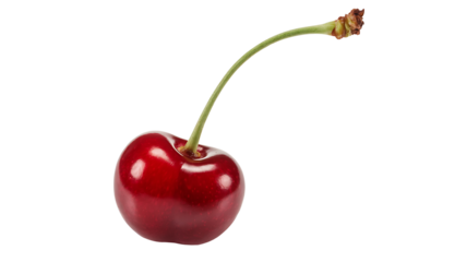 Single red cherry isolated on white background
