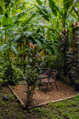Seating Area Surrounded Lush Tropical Forest Foliage