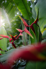 Heliconia Flower Close-Up Sun Flare Lush Tropical Greenery