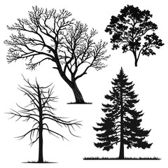 Obraz premium Silhouettes of various trees