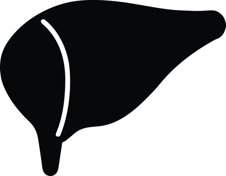 Liver cell hepatocyte silhouette vector art illustration and minimal black and white design