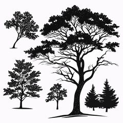 Obraz premium Silhouettes of various trees
