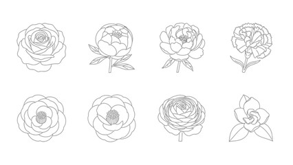 Set of eight elegant flower designs for various artistic projects delicate botanical illustrations perfect for invitations greeting cards and decorative elements showcasing diverse floral beauty