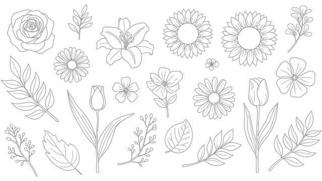Minimalist outline set of various flowers and leaves black and white vector line art for branding logos wedding invitations and graphic design projects