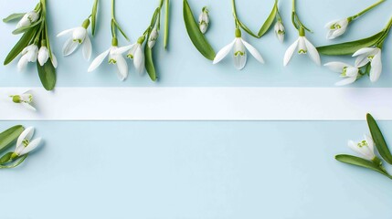 A beautiful flat lay of white snowdrops and green leaves is arranged on a light blue background.