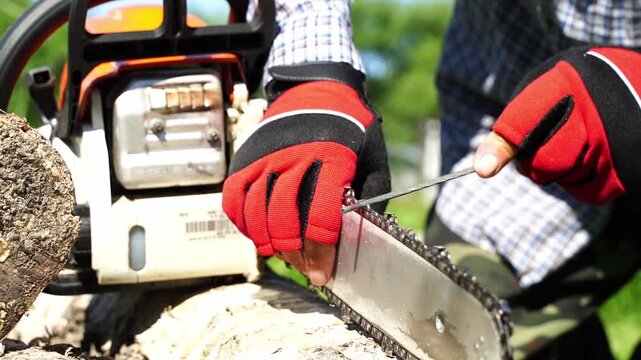 Master sharpens a chain on a chainsaw