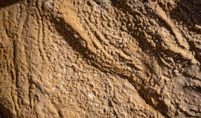 Sandstone rock texture