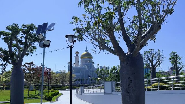 Brunei Darussalam - June 25, 2025: Sultan Omar Ali Saifuddin Mosque in Bandar Seri Begawan. Mosque with baobab trees in the foreground. Mosque facade and dome in sunlight. 4К
