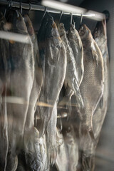 Dried salted fish hung inside refrigerator for sale in traditional fish shop. Local store selling delicatessens, various types of fish on display for customers, traditional food preservation methods.