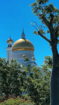 Brunei Darussalam - June 25, 2025: Sultan Omar Ali Saifuddin Mosque in Bandar Seri Begawan. Mosque with baobab trees in the foreground. Mosque facade and dome in sunlight. 4К
