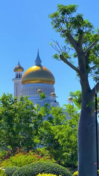 Brunei Darussalam - June 25, 2025: Sultan Omar Ali Saifuddin Mosque in Bandar Seri Begawan. Mosque with baobab trees in the foreground. Mosque facade and dome in sunlight. 4К