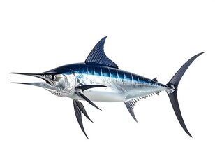 Obraz premium Marlin billfish species isolated on white background professional studio photography high resolution image