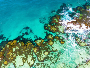 grunge world map background