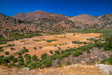 Dry agricultural landscape with olive trees and rolling hills near Fourni village in central Crete, Greece