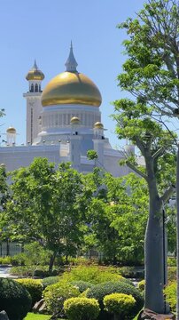 Brunei Darussalam - June 25, 2025: Sultan Omar Ali Saifuddin Mosque in Bandar Seri Begawan. Mosque with baobab trees in the foreground. Mosque facade and dome in sunlight. 4К