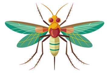 Fototapeta premium High-quality vector illustration of a mosquito in detailed line art style. This black and white insect outline is perfect for educational materials, biology textbooks, scientific posters, and healthca