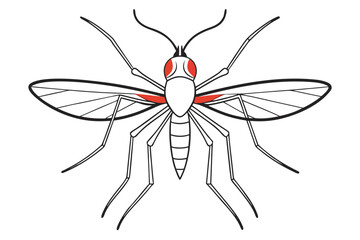 High-quality vector illustration of a mosquito in detailed line art style. This black and white insect outline is perfect for educational materials, biology textbooks, scientific posters, and healthca