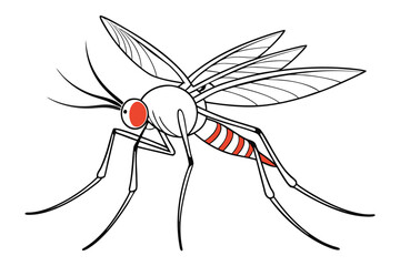 High-quality vector illustration of a mosquito in detailed line art style. This black and white insect outline is perfect for educational materials, biology textbooks, scientific posters, and healthca