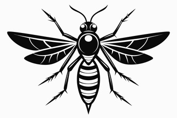 High-quality vector illustration of a mosquito in detailed line art style. This black and white insect outline is perfect for educational materials, biology textbooks, scientific posters, and healthca