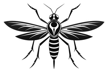 High-quality vector illustration of a mosquito in detailed line art style. This black and white insect outline is perfect for educational materials, biology textbooks, scientific posters, and healthca