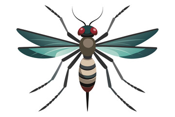 High-quality vector illustration of a mosquito in detailed line art style. This black and white insect outline is perfect for educational materials, biology textbooks, scientific posters, and healthca