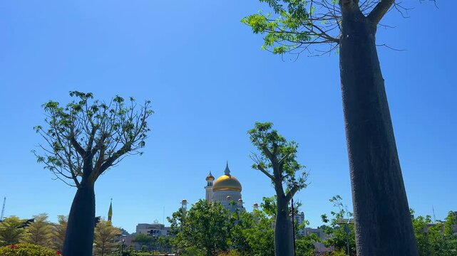 Brunei Darussalam - June 25, 2025: Sultan Omar Ali Saifuddin Mosque in Bandar Seri Begawan. Mosque with baobab trees in the foreground. Mosque facade and dome in sunlight. 4К