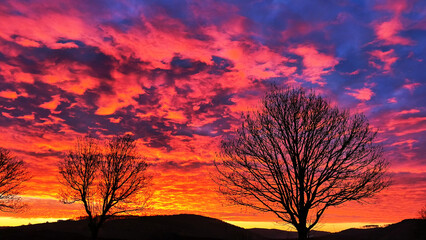 Obraz premium Dramatic red sky during early sunrise with clouds and lone tree