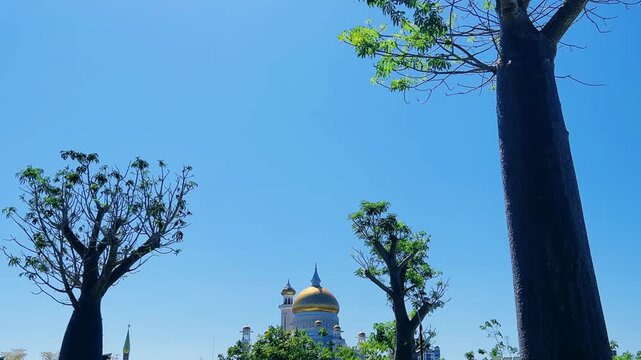 Brunei Darussalam - June 25, 2025: Sultan Omar Ali Saifuddin Mosque in Bandar Seri Begawan. Mosque with baobab trees in the foreground. Mosque facade and dome in sunlight. 4К