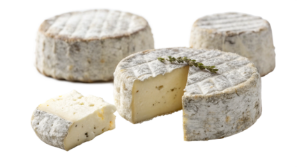 Assorted artisanal cheese wheels with herbs on a white background