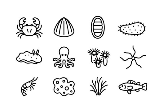 Tide Pool Icons. Rocky tide pool creatures. Line icon set of roc