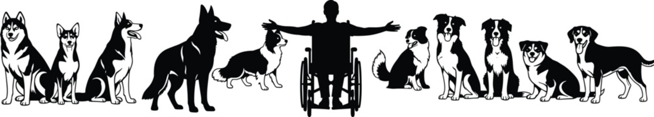 Black silhouette of a man in wheelchair surrounded by different dog breeds, disability inclusion and pet friendship concept vector isolated on white © Amamur